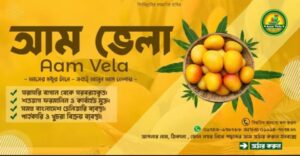 রাজশাহীর আম কিনুন আম ভেলা থেকে
